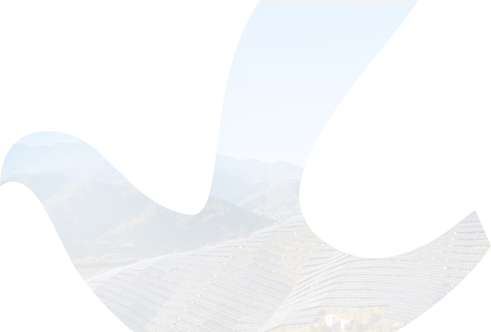 球友体育